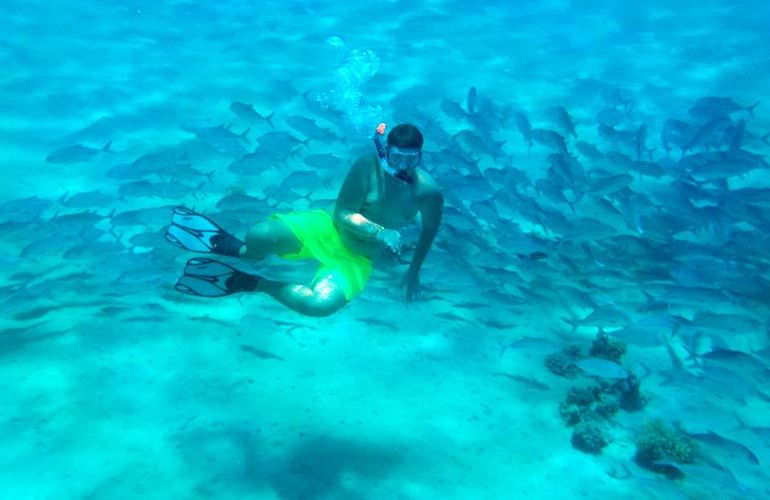 Ausflug zum Schnorcheln und Insel-Fahrt von Soma Bay aus