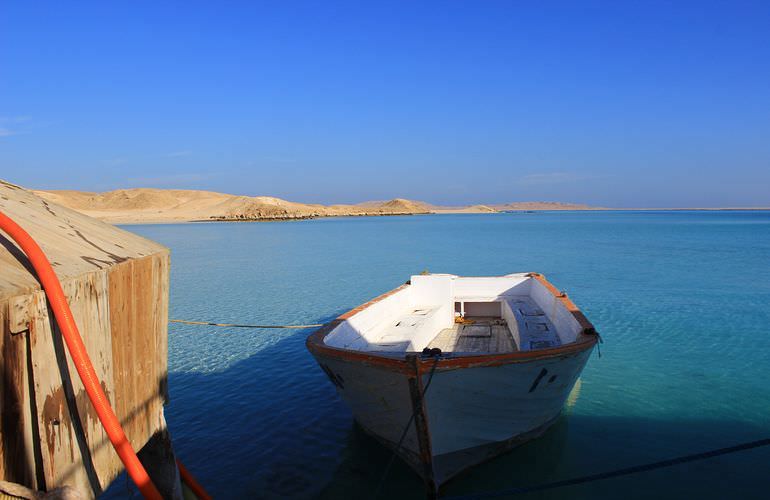 Ausflug zum Schnorcheln und Insel-Fahrt von Soma Bay aus