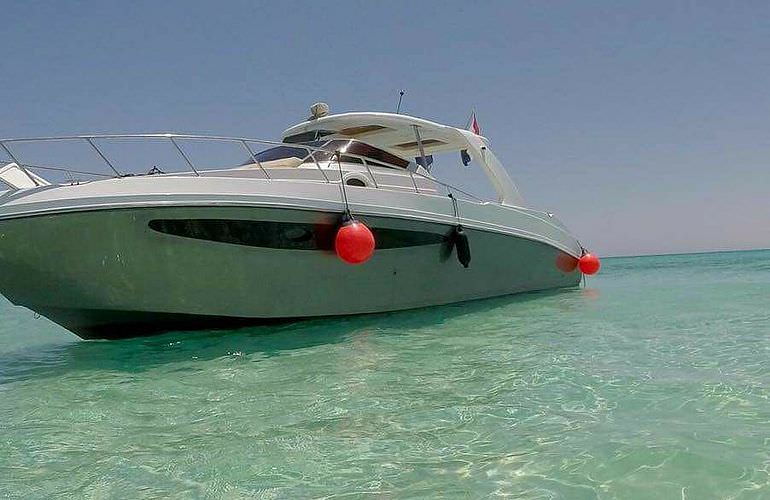 Privater Ausflug zu den Delfinen mit Speedboot ab Soma Bay 