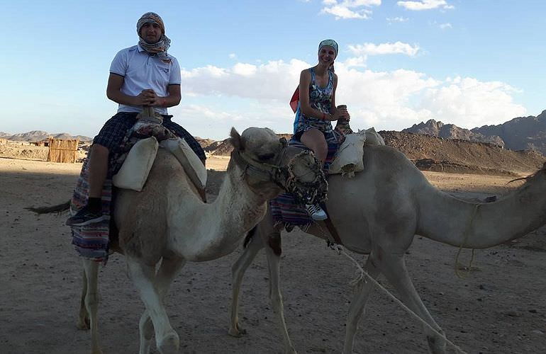 Jeep Safari in Soma Bay mit Kamelreiten & BBQ Abendessen