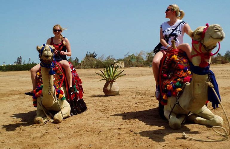 Kamelreiten in Soma Bay: Reiten am Strand oder in der Wüste