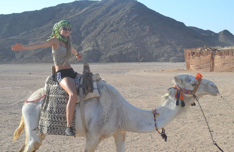 Kombi-Wüstentour in Soma Bay: Quad, Jeep, Buggy und Kamelreiten