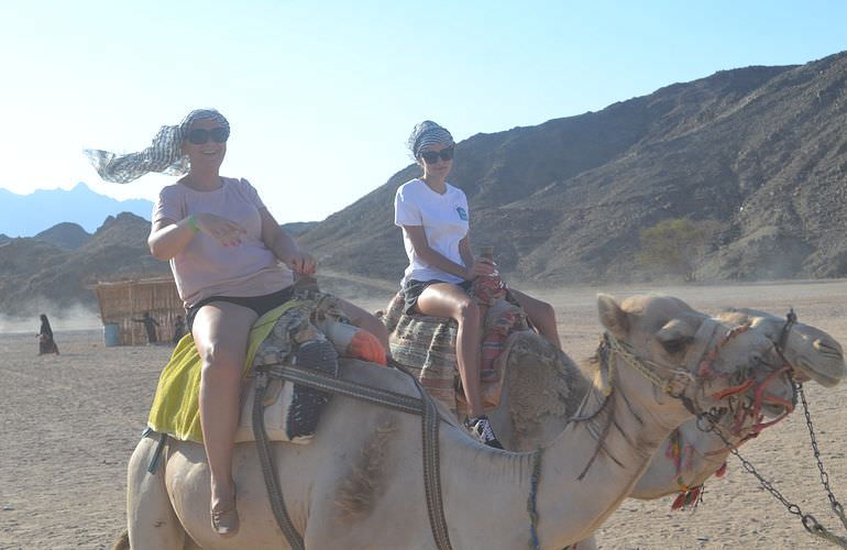 Kombi-Wüstentour in Soma Bay: Quad, Jeep, Buggy und Kamelreiten