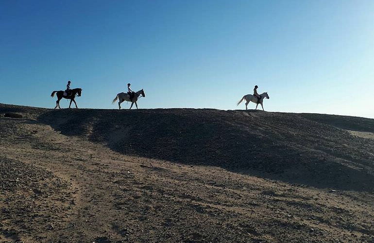 Pferde Reiten in Soma Bay: Reiten am Strand oder in der Wüste