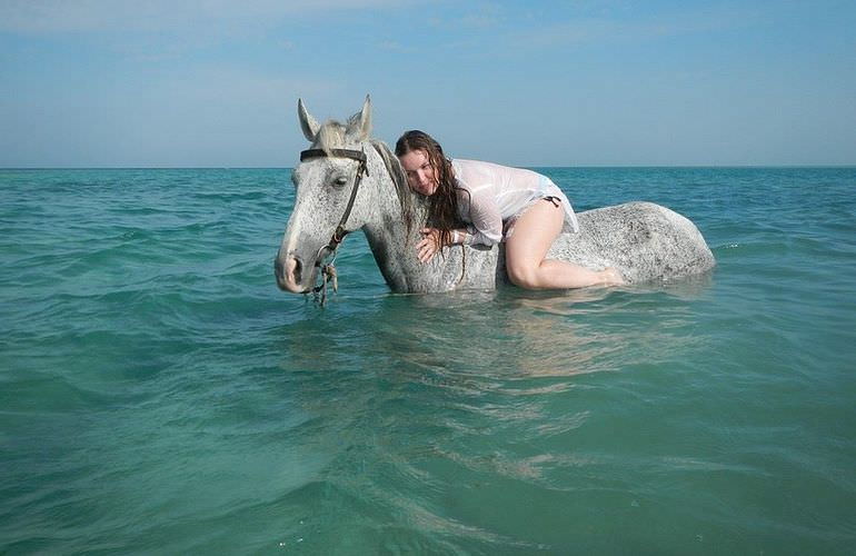 Pferde Reiten in Soma Bay: Reiten am Strand oder in der Wüste