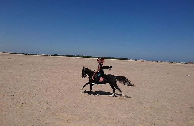 Pferde Reiten in Soma Bay: Reiten am Strand oder in der Wüste