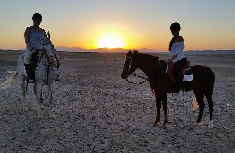 Pferde Reiten in Soma Bay: Reiten am Strand oder in der Wüste