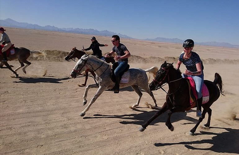 Pferde Reiten in Soma Bay: Reiten am Strand oder in der Wüste