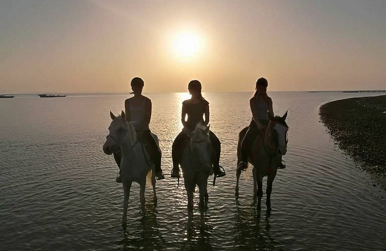 Pferde Reiten in Soma Bay: Reiten am Strand oder in der Wüste