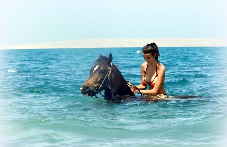 Pferde Reiten in Soma Bay: Reiten am Strand oder in der Wüste