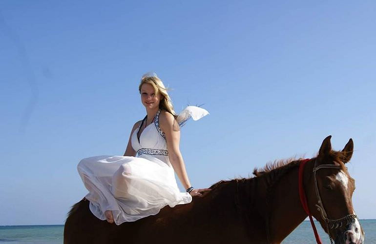 Pferde Reiten in Soma Bay: Reiten am Strand oder in der Wüste