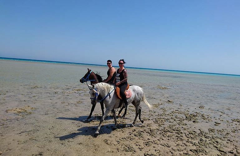 Pferde Reiten in Soma Bay: Reiten am Strand oder in der Wüste