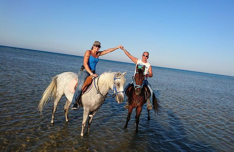 Pferde Reiten in Soma Bay: Reiten am Strand oder in der Wüste