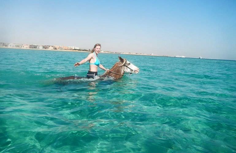 Pferde Reiten in Soma Bay: Reiten am Strand oder in der Wüste