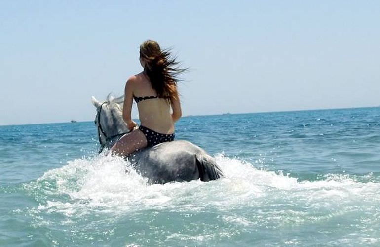 Pferde Reiten in Soma Bay: Reiten am Strand oder in der Wüste