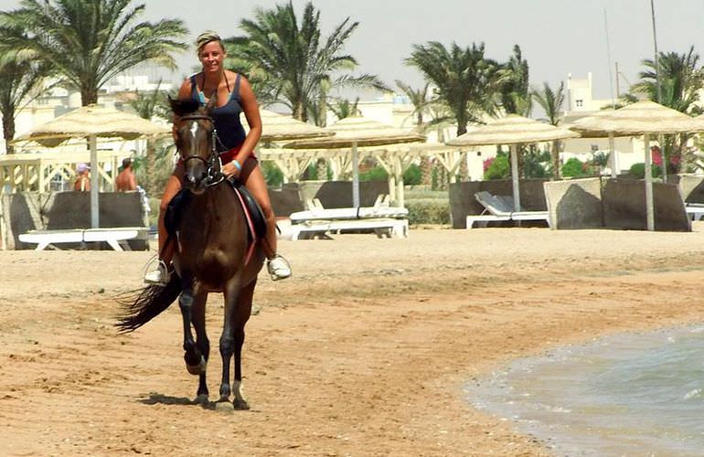 Pferde Reiten in Soma Bay: Reiten am Strand oder in der Wüste