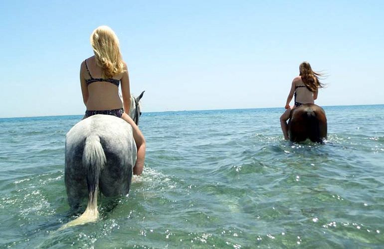 Pferde Reiten in Soma Bay: Reiten am Strand oder in der Wüste