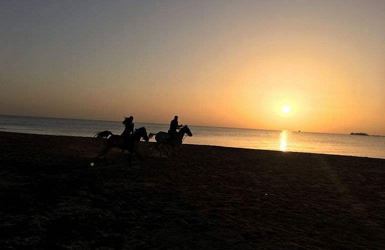 Pferde Reiten in Soma Bay: Reiten am Strand oder in der Wüste