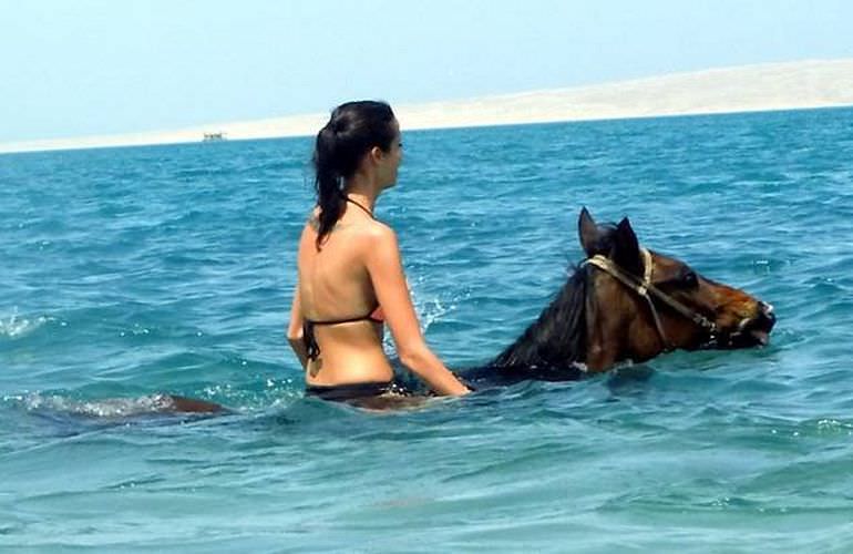 Pferde Reiten in Soma Bay: Reiten am Strand oder in der Wüste