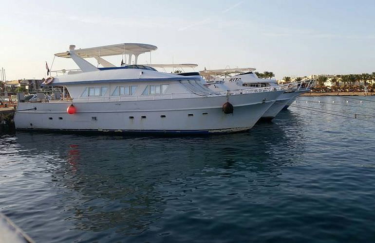 Private Yachten chartern mit Insel-Ausflug von Soma Bay aus