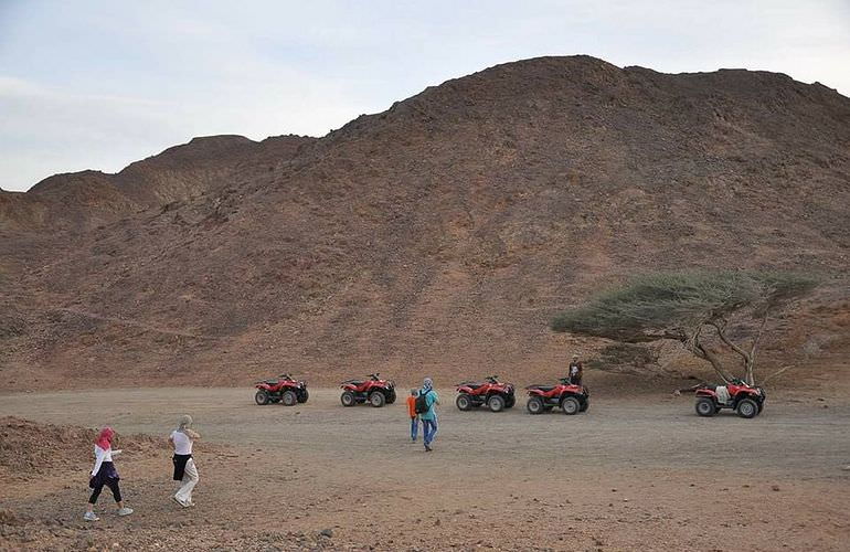 Quad Safari am Morgen durch die Wüste von Soma Bay mit Kamelreiten