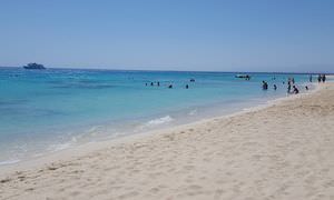 Ausflug zum Schnorcheln und Insel-Fahrt von Soma Bay aus