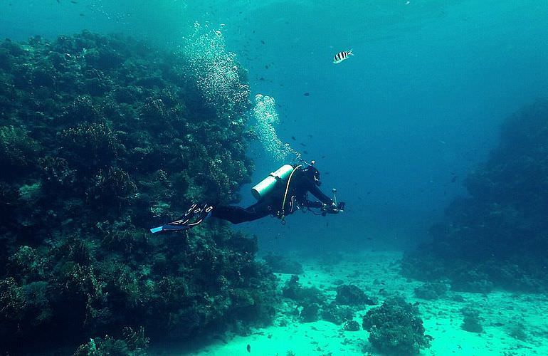 Tauchausflüge für Fortgeschrittene und Anfänger ab Soma Bay