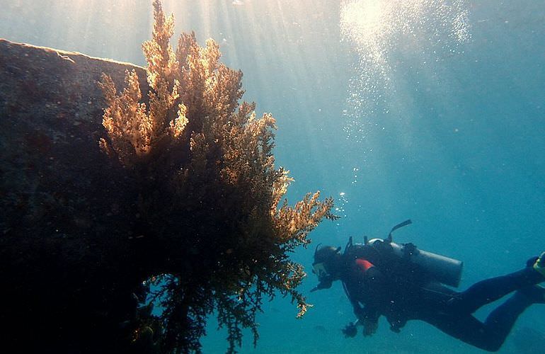 PADI Scuba Diver Kurs in Soma Bay - Schnuppertauchkurs 1 Tag