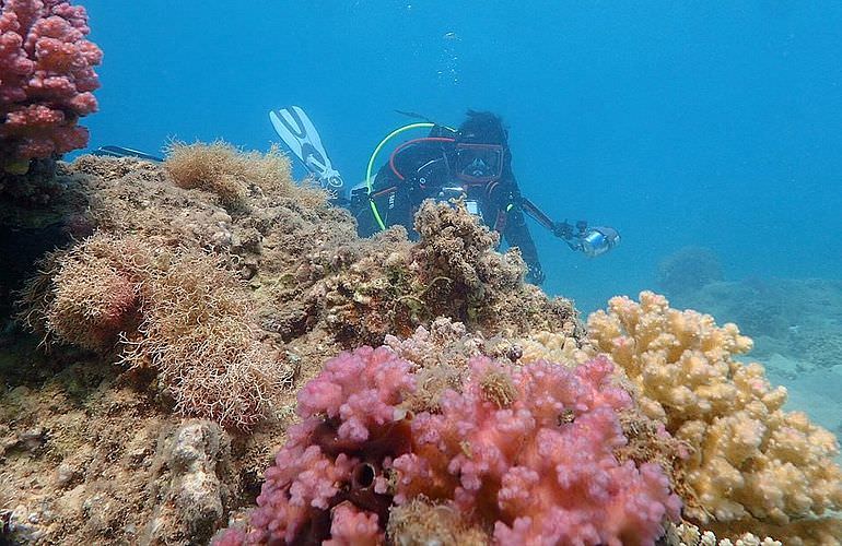 Tauchausflüge für Fortgeschrittene und Anfänger ab Soma Bay