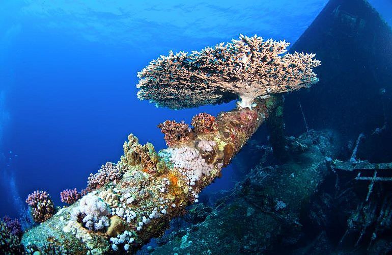 PADI Advanced Open Water Diver, Tauchkurs für Fortgeschrittene in Soma Bay