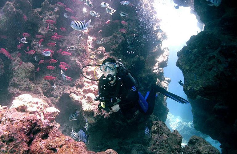 PADI Scuba Diver Kurs in Soma Bay - Schnuppertauchkurs 1 Tag