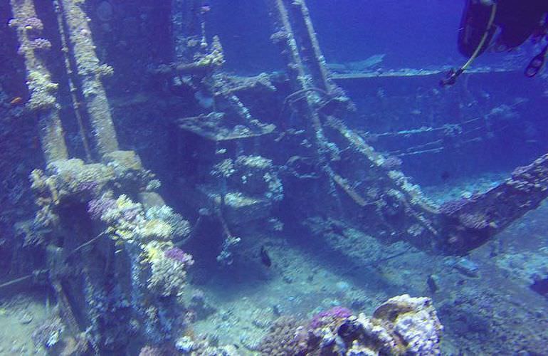 Tagesausflug Tauchen ab Soma Bay - Tauchen lernen