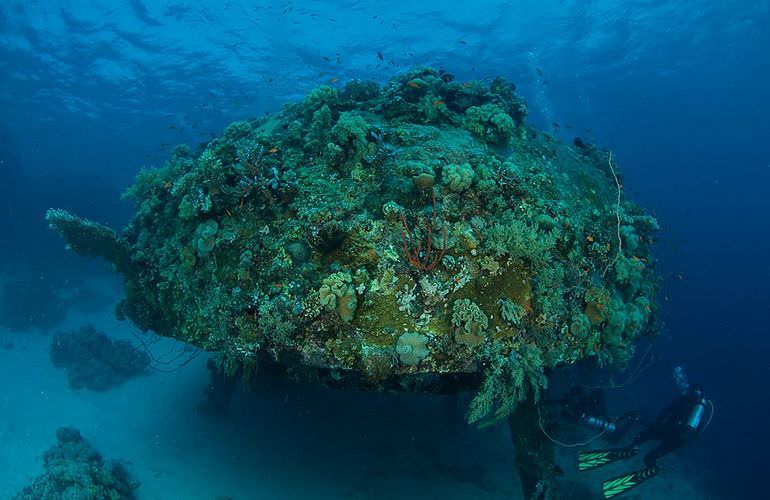 PADI Scuba Diver Kurs in Soma Bay - Schnuppertauchkurs 1 Tag