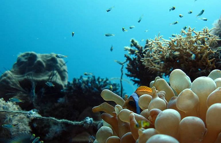 PADI Open Water Diver, der Einsteiger Tauchkurs in Soma Bay