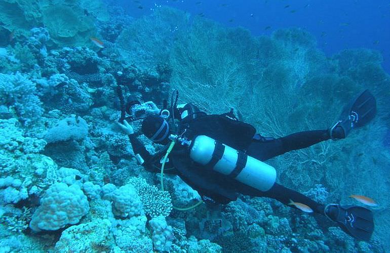 PADI Advanced Open Water Diver, Tauchkurs für Fortgeschrittene in Soma Bay