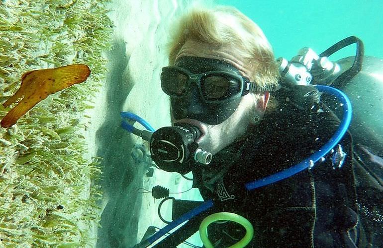 Fun Diving Soma Bay - Ganztägige Tauchfahrt mit 2 Tauchgängen