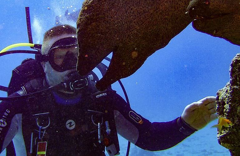 Fun Diving Soma Bay - Ganztägige Tauchfahrt mit 2 Tauchgängen