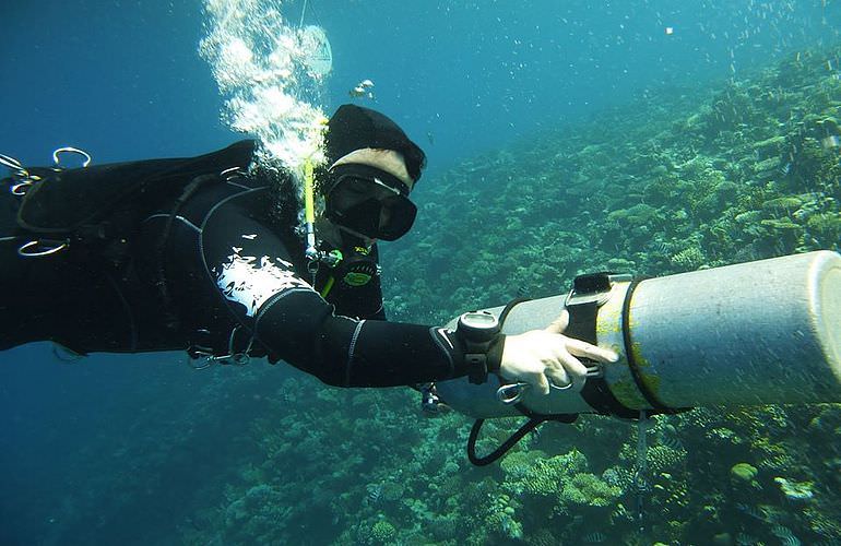 Tauchausflüge für Fortgeschrittene und Anfänger ab Soma Bay