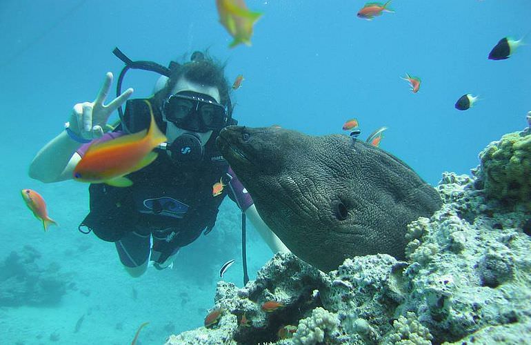 PADI Scuba Diver Kurs in Soma Bay - Schnuppertauchkurs 1 Tag