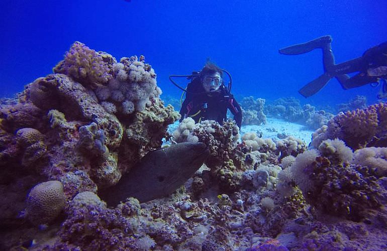 PADI Open Water Diver, der Einsteiger Tauchkurs in Soma Bay