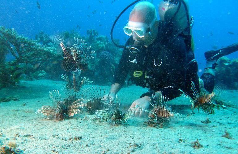 Fun Diving Soma Bay - Ganztägige Tauchfahrt mit 2 Tauchgängen