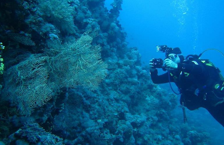 PADI Advanced Open Water Diver, Tauchkurs für Fortgeschrittene in Soma Bay