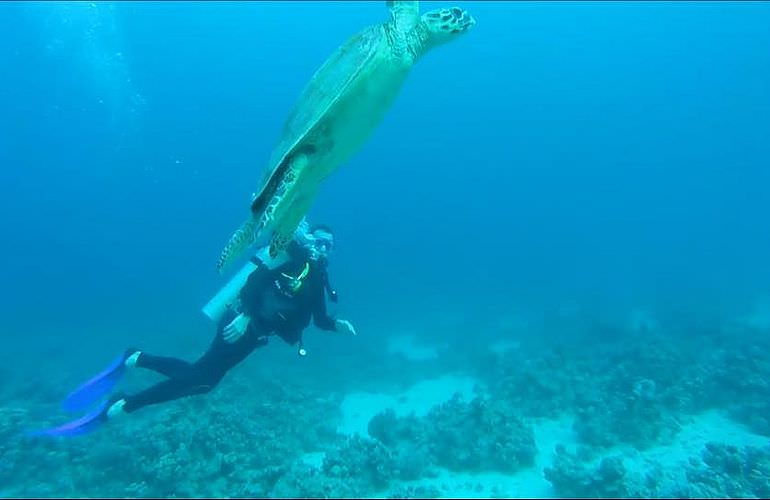 PADI Open Water Diver, der Einsteiger Tauchkurs in Soma Bay