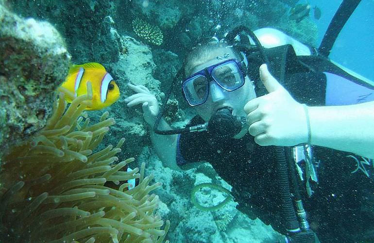 Fun Diving Soma Bay - Ganztägige Tauchfahrt mit 2 Tauchgängen