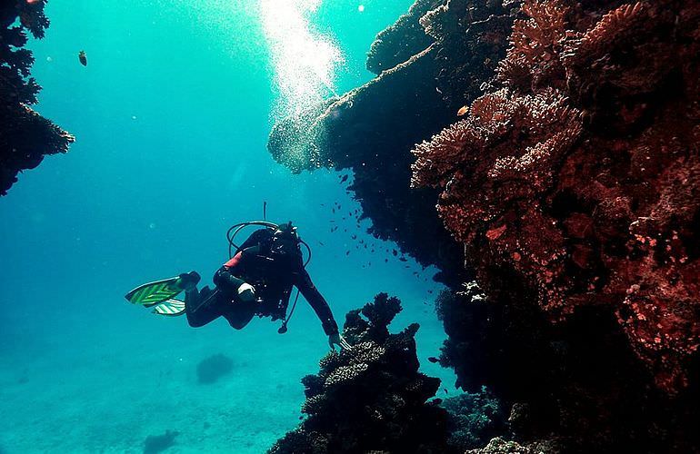 Tauchausflüge für Fortgeschrittene und Anfänger ab Soma Bay