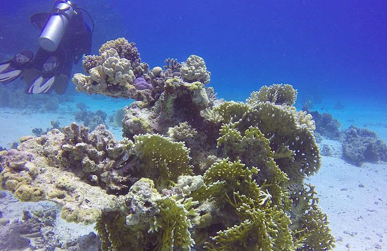 PADI Open Water Diver, der Einsteiger Tauchkurs in Soma Bay