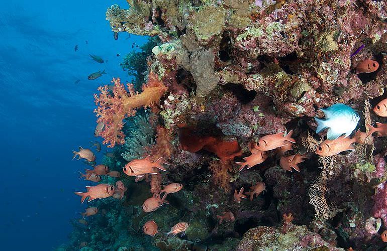 PADI Advanced Open Water Diver, Tauchkurs für Fortgeschrittene in Soma Bay