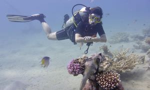 Tauchausflüge für Fortgeschrittene und Anfänger ab Soma Bay