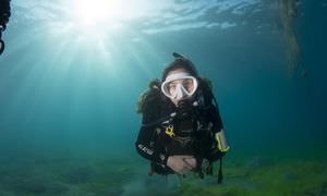 Fun Diving Soma Bay - Ganztägige Tauchfahrt mit 2 Tauchgängen