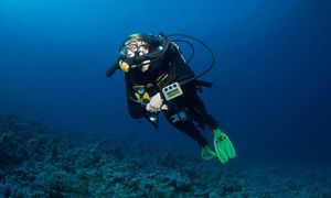 Auffrischungskurs: PADI Scuba Review Programm in Soma Bay 